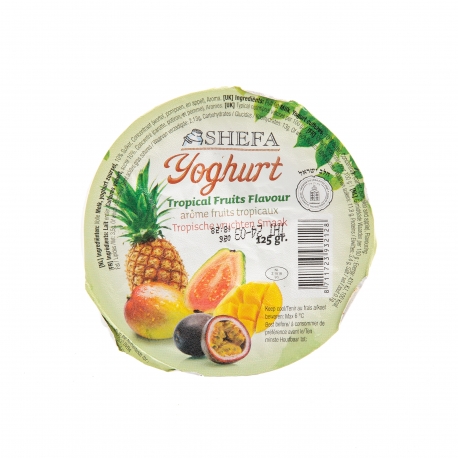 Yaourt tropical petit modèle Shefa