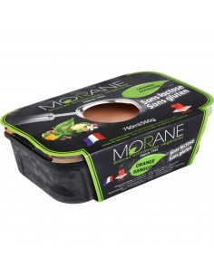 Glace orange sanguine Morane
