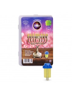 Fioles huile d'olive + toupie Vehaer Hanouka